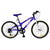 Bicicleta Caloi New Rider 24" 7V
